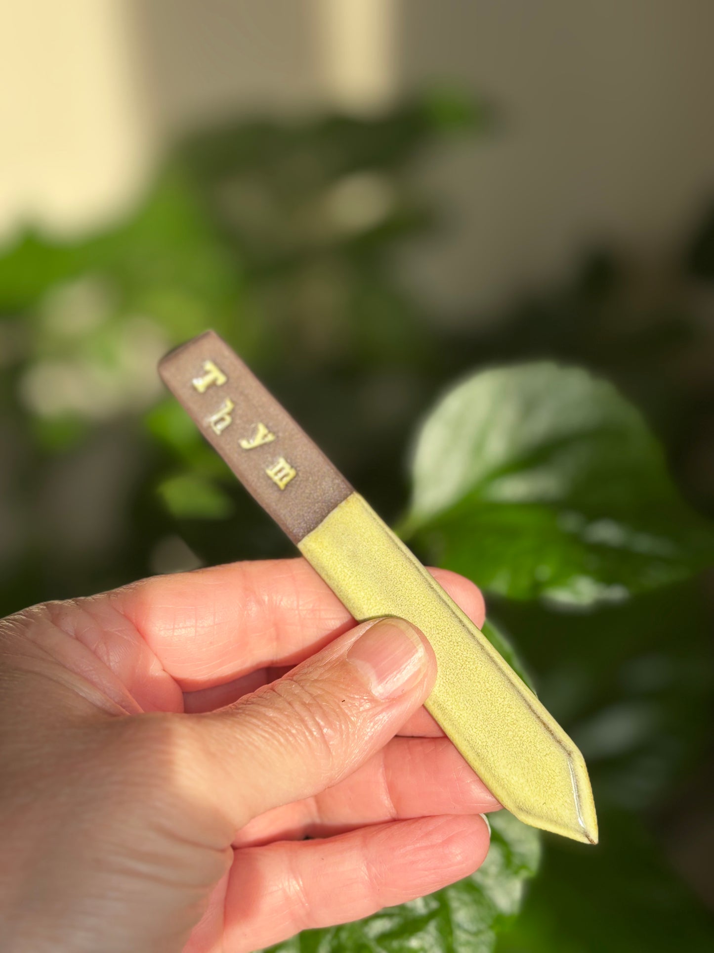 Étiquette marqueur de jardin pour fines herbes